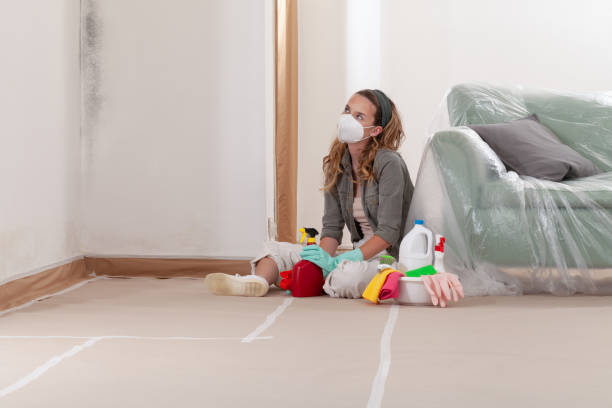 Reliable Basement Mold Remediation contractor in New Egypt, NJ by WQB Mold Removal